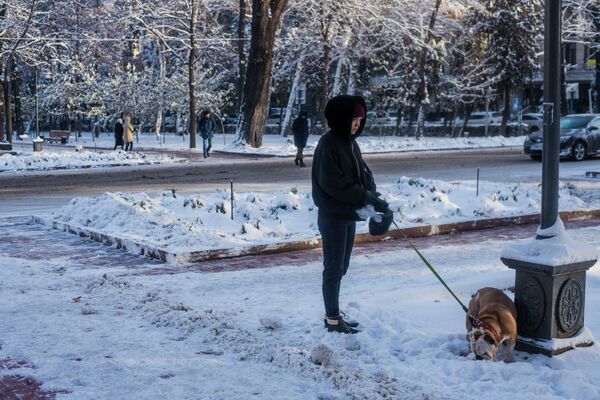 Девушка гуляет с собакой по бульвару Эркиндик в Бишкеке после сильного снегопада - Sputnik Кыргызстан