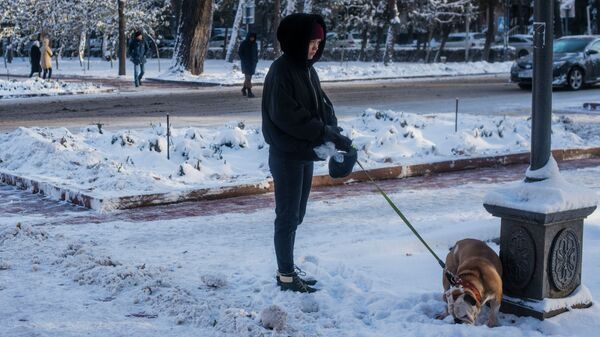Бишкектеги Эркиндик бульварында ит менен сейилдеп жүргөн кыз. Архив - Sputnik Кыргызстан