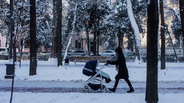 Бишкектеги Эркиндик бульварында коляскасы менен аял - Sputnik Кыргызстан