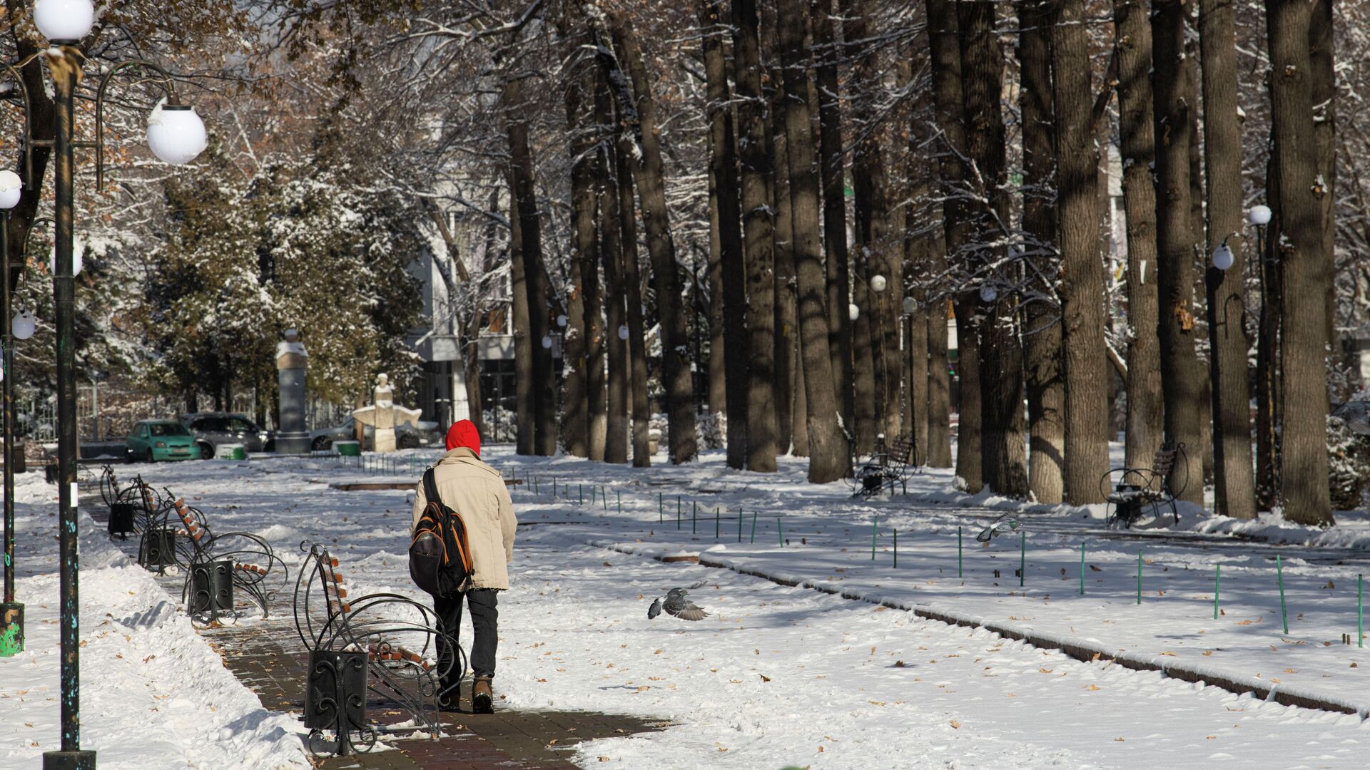 Парень идет по парку Чингиза Айтматова в Бишкеке - Sputnik Кыргызстан, 1920, 28.11.2021