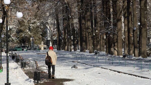 Парень идет по парку Чингиза Айтматова в Бишкеке - Sputnik Кыргызстан