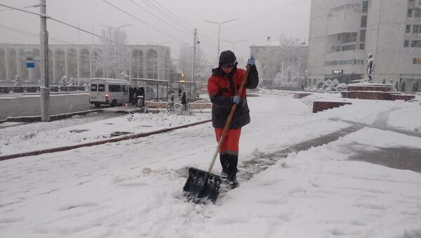 Сотрудники МП Тазалык во время уборки снега на одной из улиц Бишкека - Sputnik Кыргызстан