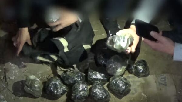 В Кыргызстане изъяли 16 килограммов афганского чарса — видео - Sputnik Кыргызстан