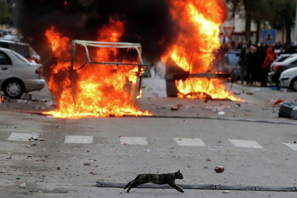 Кошка бежит мимо горящих баррикад во время протестов испанских металлургов в Кадисе (Испания) - Sputnik Кыргызстан
