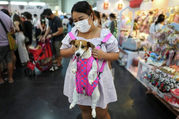 Женщина со своим питомцем на ежегодной выставке Pet Expo 2021 в Бангкоке (Таиланд) - Sputnik Кыргызстан