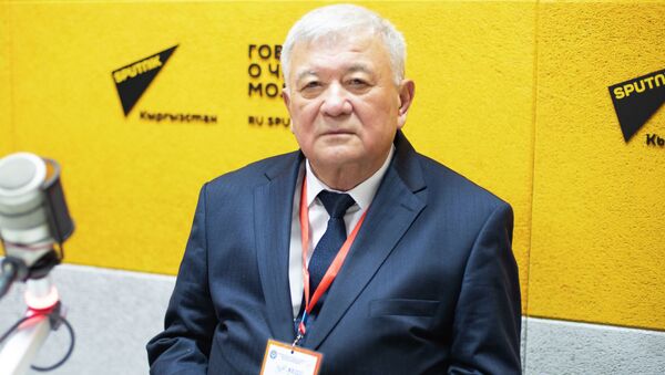 Координатор группы международных наблюдателей Межпарламентской ассамблеи СНГ Кутбидин Бурханов - Sputnik Кыргызстан