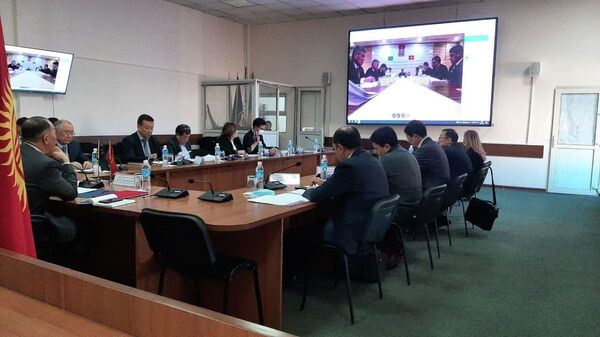 Пятое заседании кыргызско-туркменской комиссии в онлайн-формате - Sputnik Кыргызстан