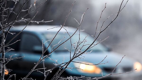 Снег на ветках деревьев. Архивное фото - Sputnik Кыргызстан