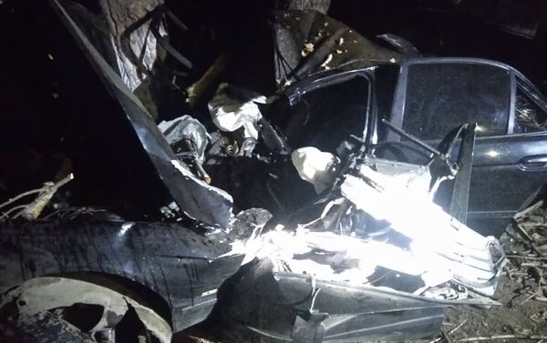 В Кочкоре автомобиль BMW врезался в дерево, погибли два человека - Sputnik Кыргызстан