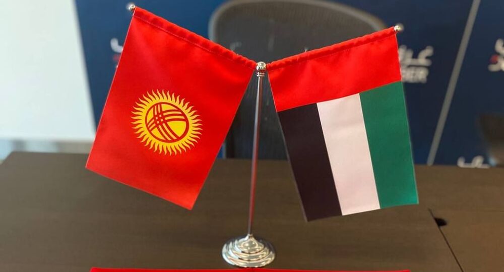 Контракты на $3,2 млн подписали компании Кыргызстана и ОАЭ