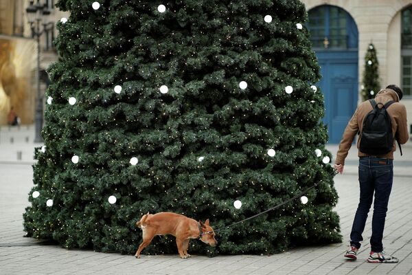 Мужчина гуляет с собакой на Вандомской площади в Париже (Франция) - Sputnik Кыргызстан