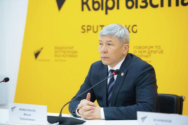 Министр ЕЭК по таможенному сотрудничеству Максат Мамытканов - Sputnik Кыргызстан
