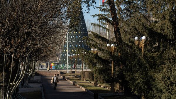 Бишкектеги Ала-Тоо аянты. Архивдик сүрөт - Sputnik Кыргызстан