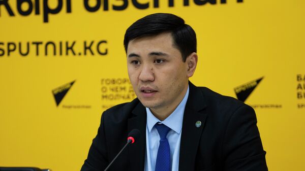 Исполняющий обязанности министра инвестиций Нурадил Баясов  - Sputnik Кыргызстан