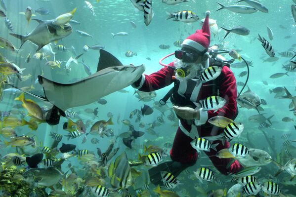Водолаз в костюме Санта-Клауса плавает в аквариуме ресторана Koral на острове Бали - Sputnik Кыргызстан