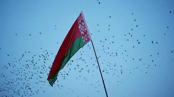 Флаг Беларуси. Архивное фото - Sputnik Кыргызстан