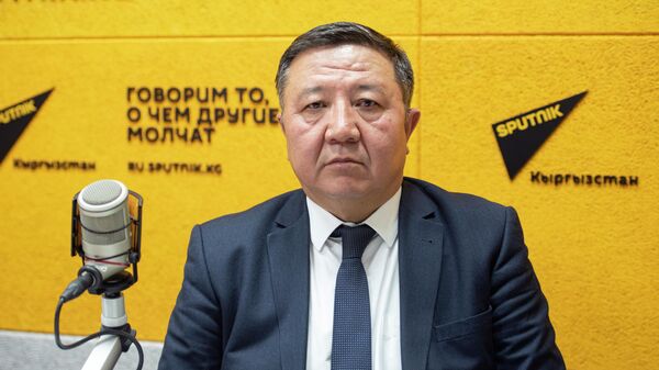 Финансы министрлигине караштуу Мамлекеттик сатып алуулар департаментинин директору Баялы Досалиев - Sputnik Кыргызстан