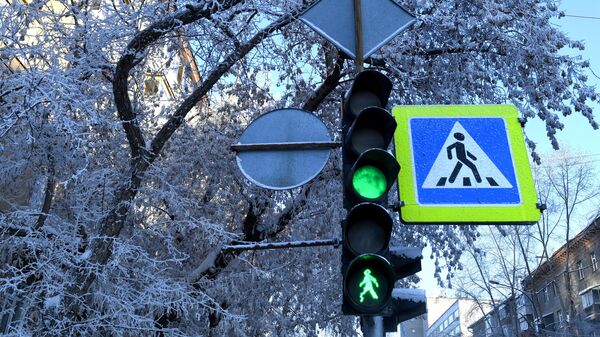 Светофор и знак Пешеходный переход. Архивное фото - Sputnik Кыргызстан