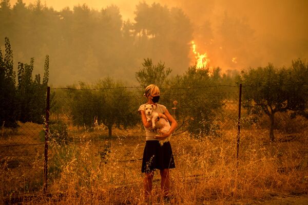 Девушка с собакой во время пожаров в Греции - Sputnik Кыргызстан