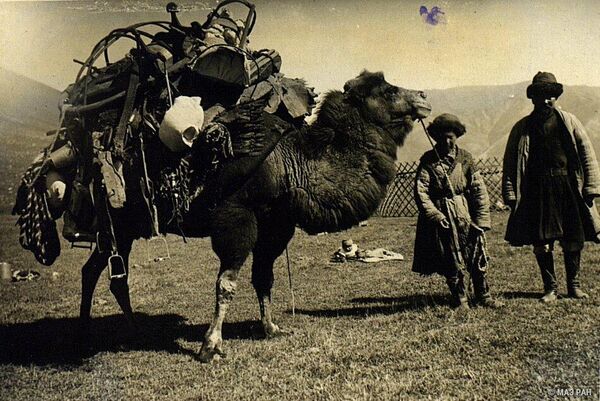 Боз үйдү төөгө жүктөп алган ата-бала, 1933-жыл - Sputnik Кыргызстан