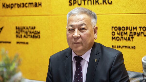 Соода-өнөр жай палатасынын ага вице-президенти Роман Касымов - Sputnik Кыргызстан