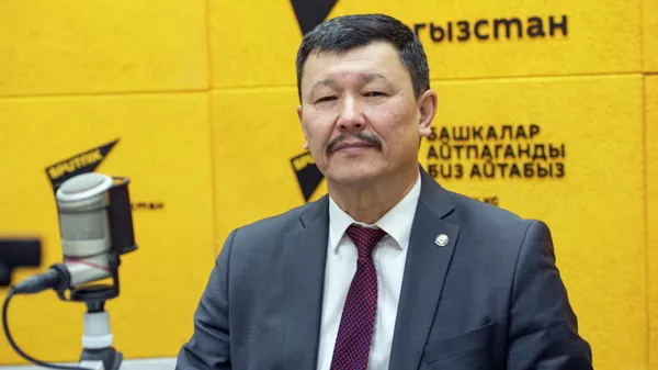 Заместитель министра сельского, водного хозяйства и развития регионов Азамат Мукашев - Sputnik Кыргызстан