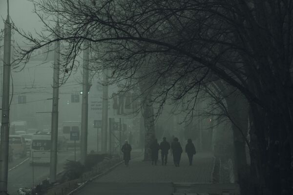 Бишкектин башкы көчөлөрүнүн бири. Кышындагы туман абанын муздашынан жаралат. - Sputnik Кыргызстан