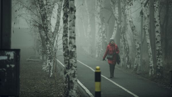 Бишкекте туман учурунда көчөдө жүргөн аял. Архив - Sputnik Кыргызстан