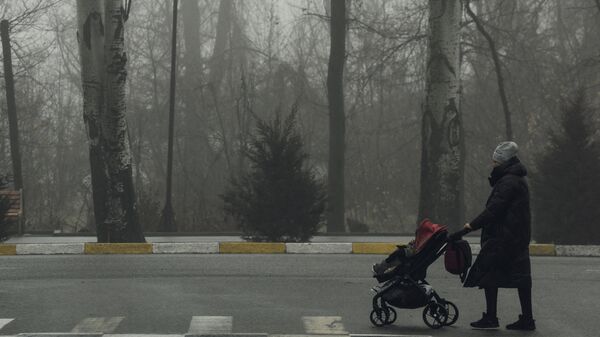 Женщина гуляет с ребенком во время густого тумана в Бишкеке. Архивное фото  - Sputnik Кыргызстан