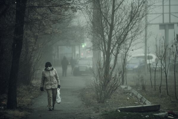 Длительность тумана варьируется от нескольких часов... - Sputnik Кыргызстан