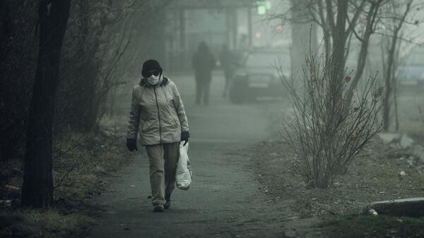 Женщина идет по улице во время густого туман в Бишкеке. Архивное фото - Sputnik Кыргызстан