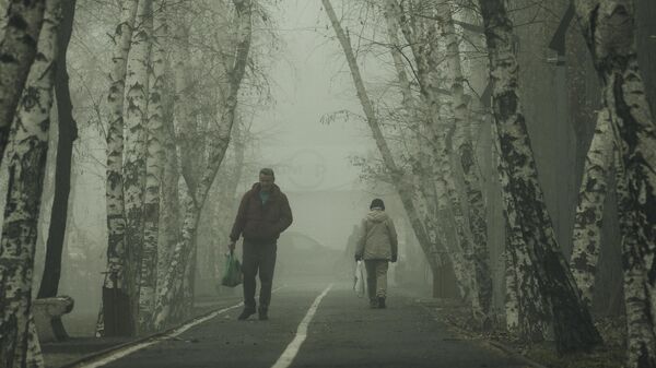 Бишкекте туман учурунда кишилер. Архив - Sputnik Кыргызстан