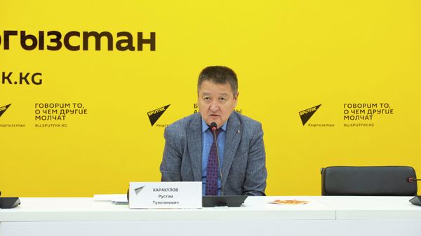 Заместитель председателя Фонда госматрезервов Рустам Каракулов - Sputnik Кыргызстан