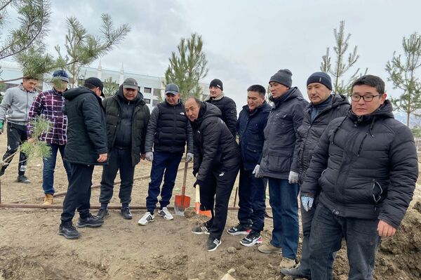 Карагай отургузууга министр Алымкадыр Бейшеналиев да катышып жатат - Sputnik Кыргызстан