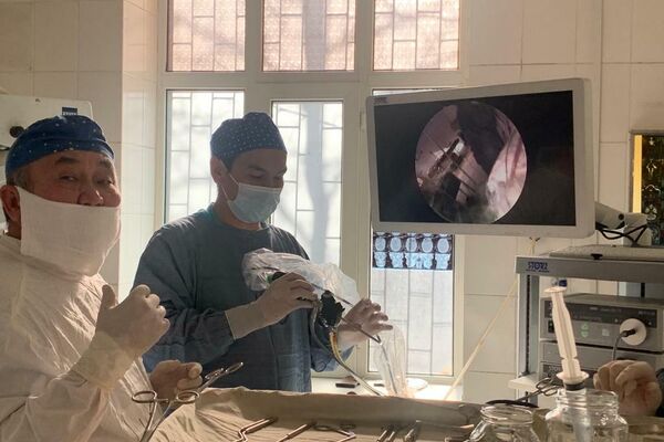 Национальный госпиталь при Минздраве КР получил уникальное оборудование для оперативного лечения от ряда нейрохирургических заболеваний у постковидных больных - Sputnik Кыргызстан