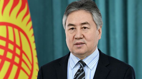 Министр иностранных дел Кыргызстана Жээнбек Кулубаев  - Sputnik Кыргызстан