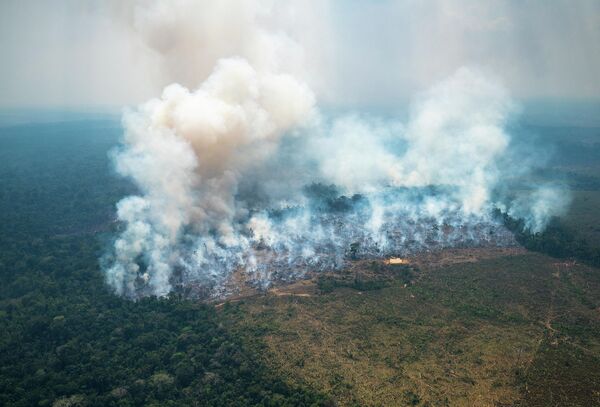 Лесные пожары в национальном парке Чирибикете в Колумбии. Январь 2022 года стал самым жарким месяцем в колумбийской Амазонии за последнее десятилетие, что привело к увеличению числа лесных пожаров. - Sputnik Кыргызстан