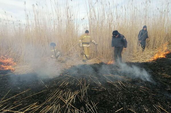 Прибывшие пожарные при содействии правоохранителей локализовали пламя. Оно уничтожило камыши на площади более гектара. - Sputnik Кыргызстан