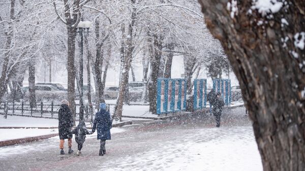 Люди идут на проспекте Чуй во время снегопада в Бишкеке. Архивное фото - Sputnik Кыргызстан