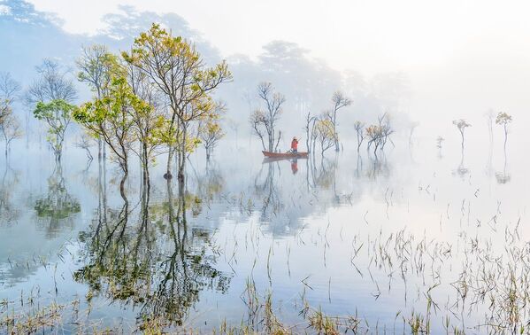 Работа вьетнамского фотографа Хана буи Пу под названием &quot;Конец зимы&quot; была высоко оценена жюри в категории  &quot;Деревья и лес&quot; - Sputnik Кыргызстан