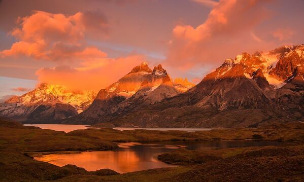 Этот потрясающий снимок сделан в Чили. Работа фотографа Гиджи Вильямса была высоко оценена жюри. - Sputnik Кыргызстан