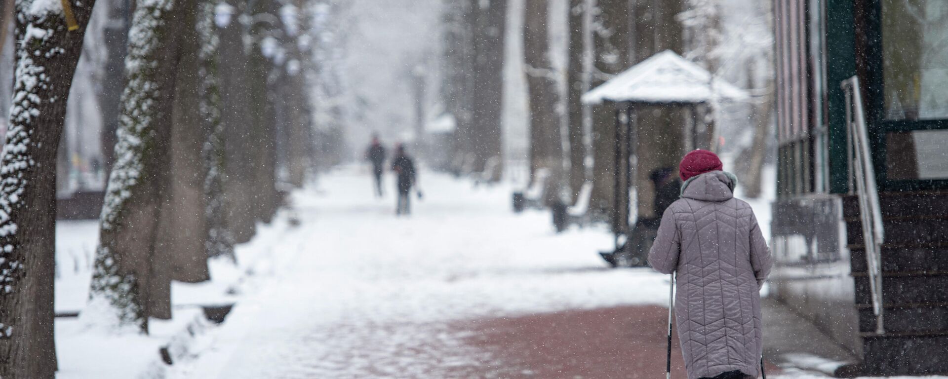 Женщина занимается скандинавской ходьбой на проспекте Эркиндик во время снегопада в Бишкеке. Архивное фото - Sputnik Кыргызстан, 1920, 19.12.2022