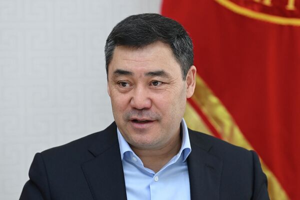 Состоялся обмен мнениями по актуальным вопросам совместной деятельности в рамках Евразийского экономического союза и председательства Кыргызстана в органах ЕАЭС в этом году - Sputnik Кыргызстан