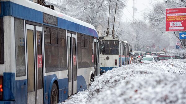 Троллейбусы в Бишкеке. Архивное фото - Sputnik Кыргызстан