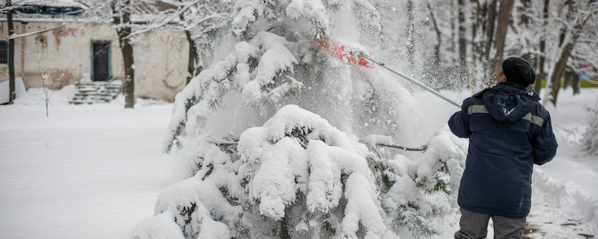 Мужчина вытряхивает дерево от снега в парке им. Ата-Тюрка в Бишкеке. Архивное фото - Sputnik Кыргызстан, 1920, 20.02.2022
