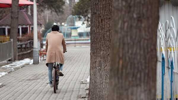Көчөдө бараткан велосипедчен адам. Архив - Sputnik Кыргызстан