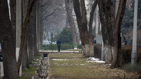 Мужчина гуляет в парке им. Панфилова в Бишкеке. Архивное фото - Sputnik Кыргызстан