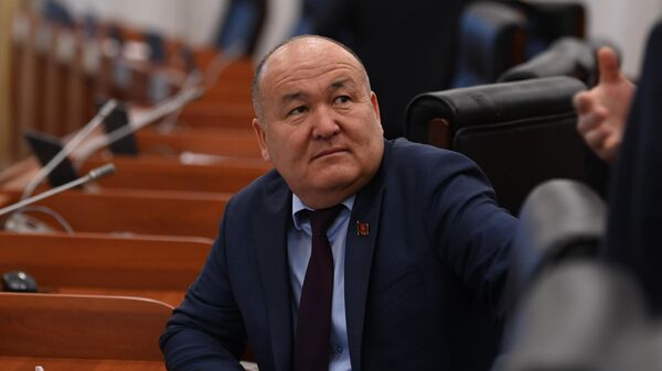Жогорку Кеңештин депутаты Жеңишбек Токторбаев  - Sputnik Кыргызстан
