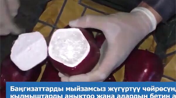 Баңгизатты алмага, кургак сүткө катып... Кылмышкерлер колго түшүрүлгөн видео - Sputnik Кыргызстан