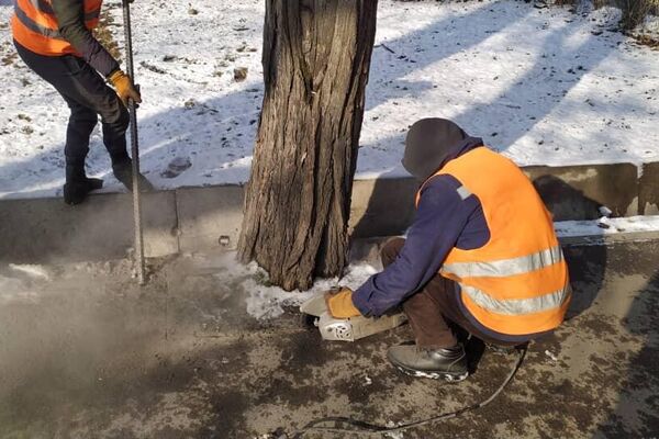 В Бишкеке освободили 250 деревьев от асфальтобетонной смеси вокруг них - Sputnik Кыргызстан